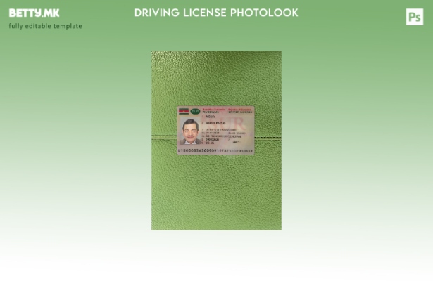 Модерен стил за возачка дозвола од Суринам, преден шаблон со фото изглед